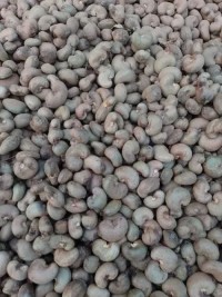 Spices,ginger,red pepper and cashew nut