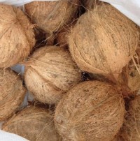 Dry coconut